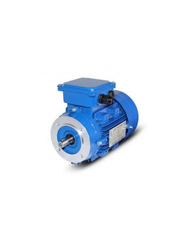 Trifazis elektros variklis 4kW-2880aps/min 380/660V flanšinis 112B14