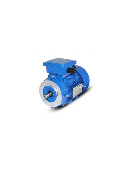 Trifazis elektros variklis 4kW-2880aps/min 380/660V flanšinis 112B14