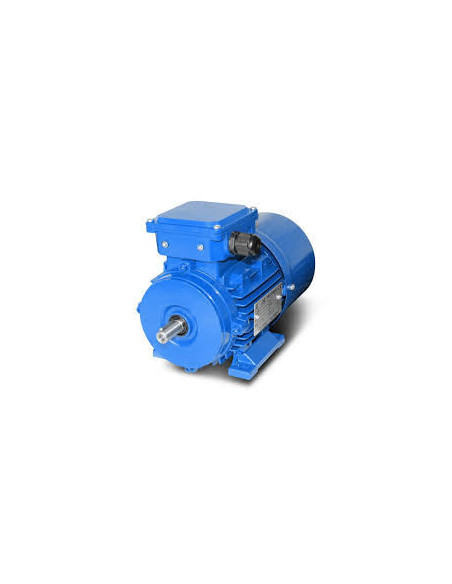 Trifazis elektros variklis 4kW-2880aps/min 380/660V padinis 112B3