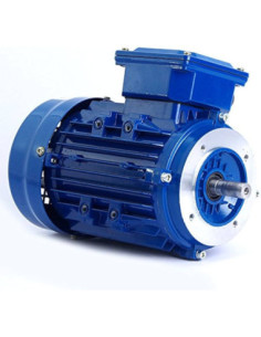 Trifazis elektros variklis 11kW-1460aps/min 380/660V flanšinis 132B14