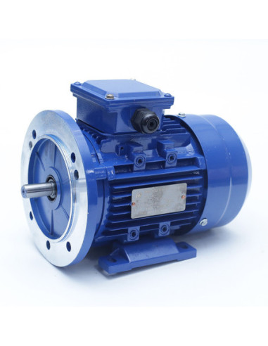 Trifazis elektros variklis 11kW-2930aps/min 380/660V universalus 132B35