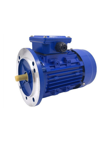 Trifazis elektros variklis 11kW-2930aps/min 380/660V flanšinis 132B5
