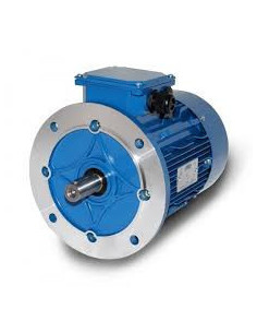 Trifazis elektros variklis 0.18kW-2750aps/min 230/380V flanšinis 56B5