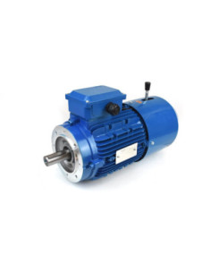 Trifazis elektros variklis 1.5kw-1400aps/min su stabdžiu, flanšinis 90B14