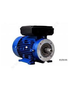 Vienfazis elektros variklis 2.2kW-2800aps/min 230V universalus 90B34