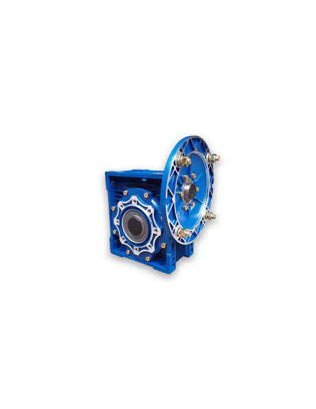 Sliekinis reduktorius PMRV 050 1/100 PAM63B5