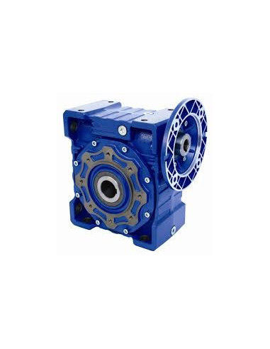 Sliekinis reduktorius PMRV 130 1/80 PAM90B5